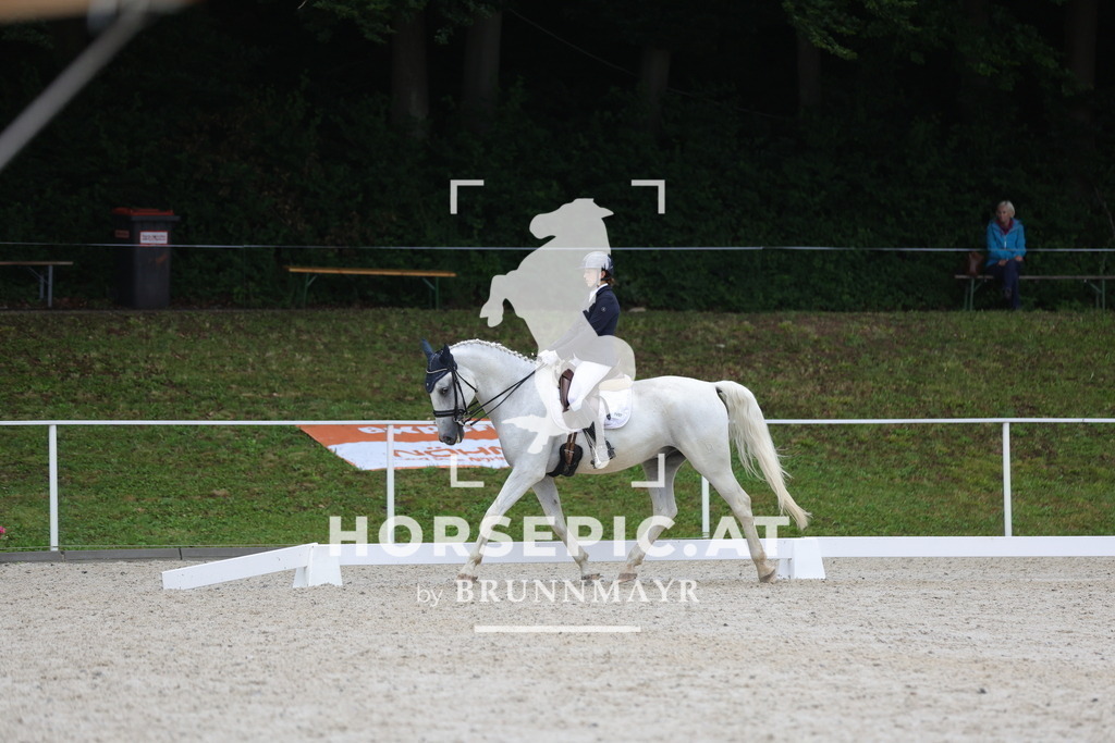 0P6A3656 | Willkommen bei Brunnmayr - Design & Fotografie – Ihrem Spezialisten für Reitturniere und Pferdeveranstaltungen in Oberösterreich, Salzburg und Bayern! Seit über 17 Jahren sind wir leidenschaftlich dabei.