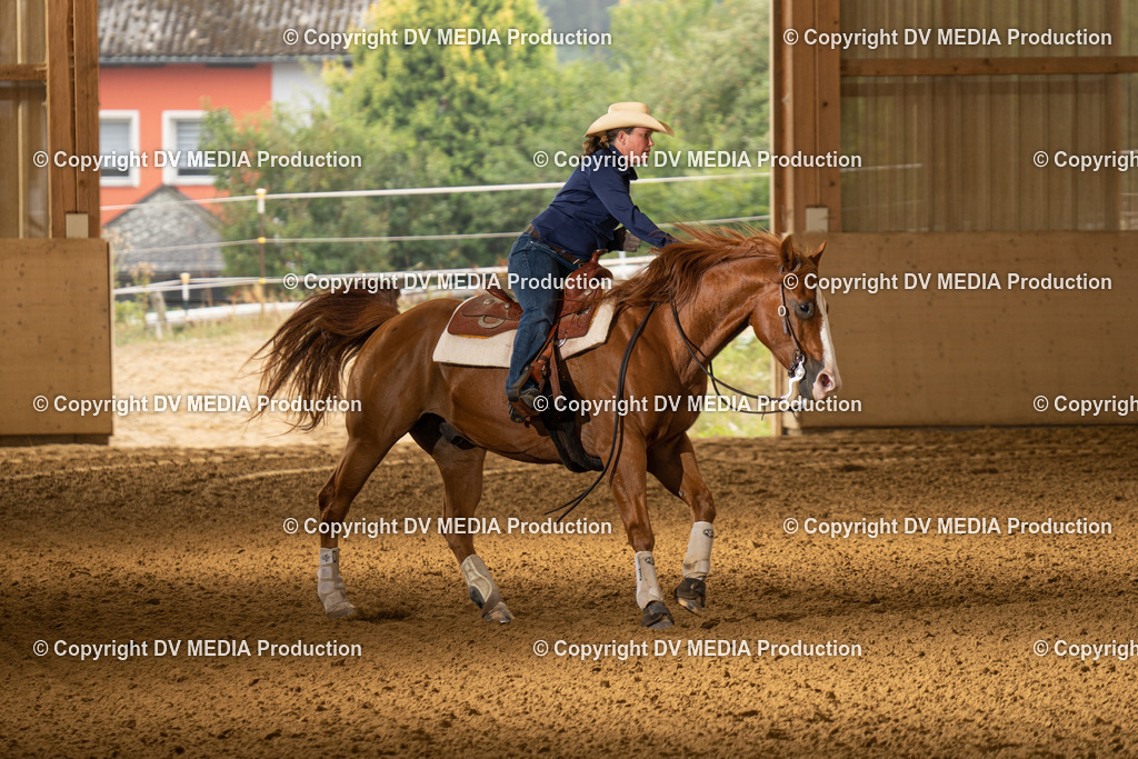 LAU00893 | dv-media-shop - Realisiert mit Pictrs.com