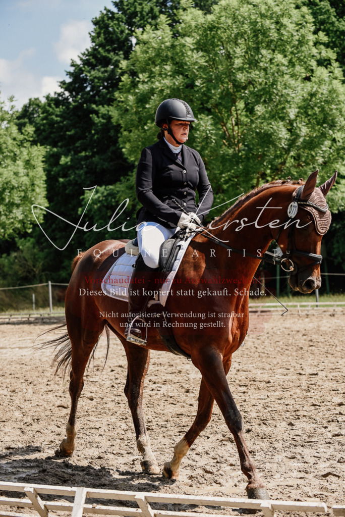 DSC_1310 | Pferde- und Turnierfotografie in Westsachsen. Pferdeportraits, Auftragszeichnungen und intuitive Kunst.