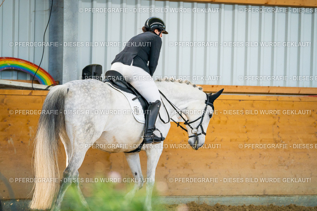 DSC06179 | Pferdegrafie