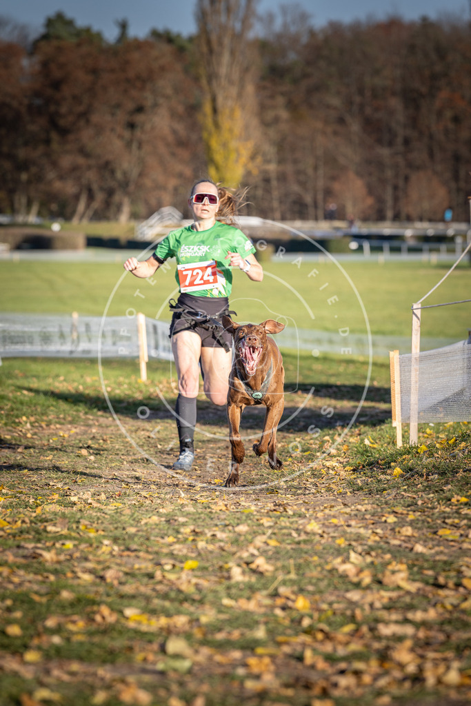 CaniXpix_DV3A1915 | Hundefotografie, Tierfotograf, Pfotenfotografie, Fotoshooting Hund, Hunde Portrait, Hundesport, Hundeportraits, Heideshooting, Hunde, Sportfotograf, Hundefotograf, Turnierhundsport, THS,  - Realisiert mit Pictrs.com