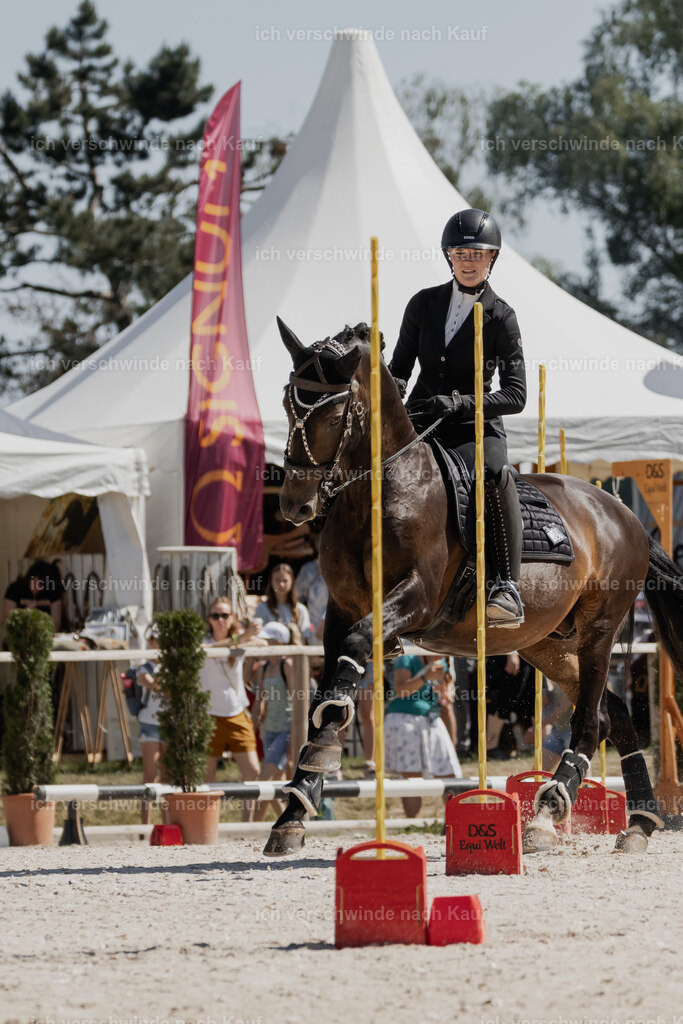 WE_SP_Stoib_309_PI2025_1483 | Pferd International München 2025
