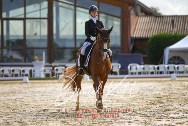 DKP43926 | Turniersportfotografie; Pferdefotografie; Dressurfotografie