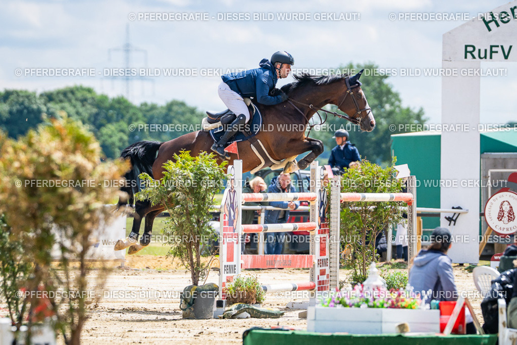 DSC05204 | Pferdegrafie