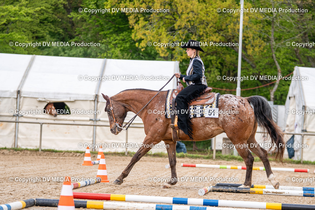 Heiligenwald Tag 1-195 | dv-media-shop - Realisiert mit Pictrs.com