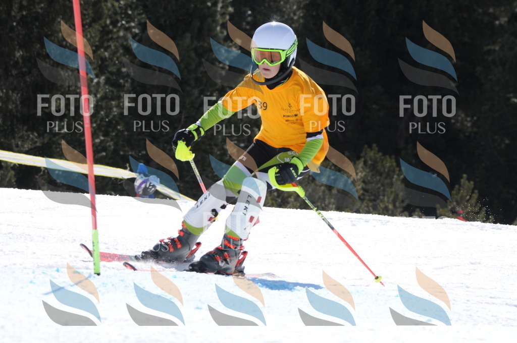 C9320 | holidayphoto