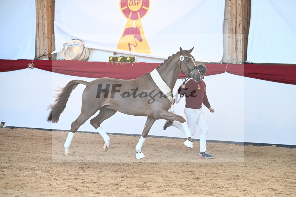 Kat.-Nr. 80 v. Vivino_Schepergerdes_2242887 | hf-fotografie - Realisiert mit Pictrs.com
