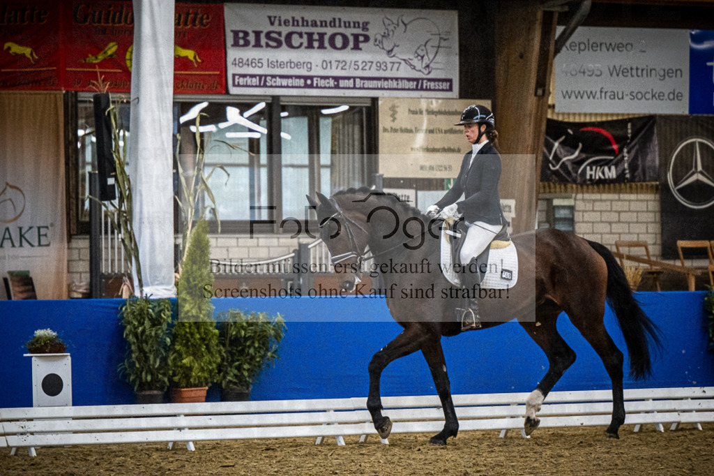 DOS_0833 | Entdecke hochwertige Reitturnierfotos von Foto Oger. Professionell, emotional und authentisch – jetzt Lieblingsmomente im Shop bestellen.Deutschlandweite Turnierfotografie. - Realisiert mit Pictrs.com