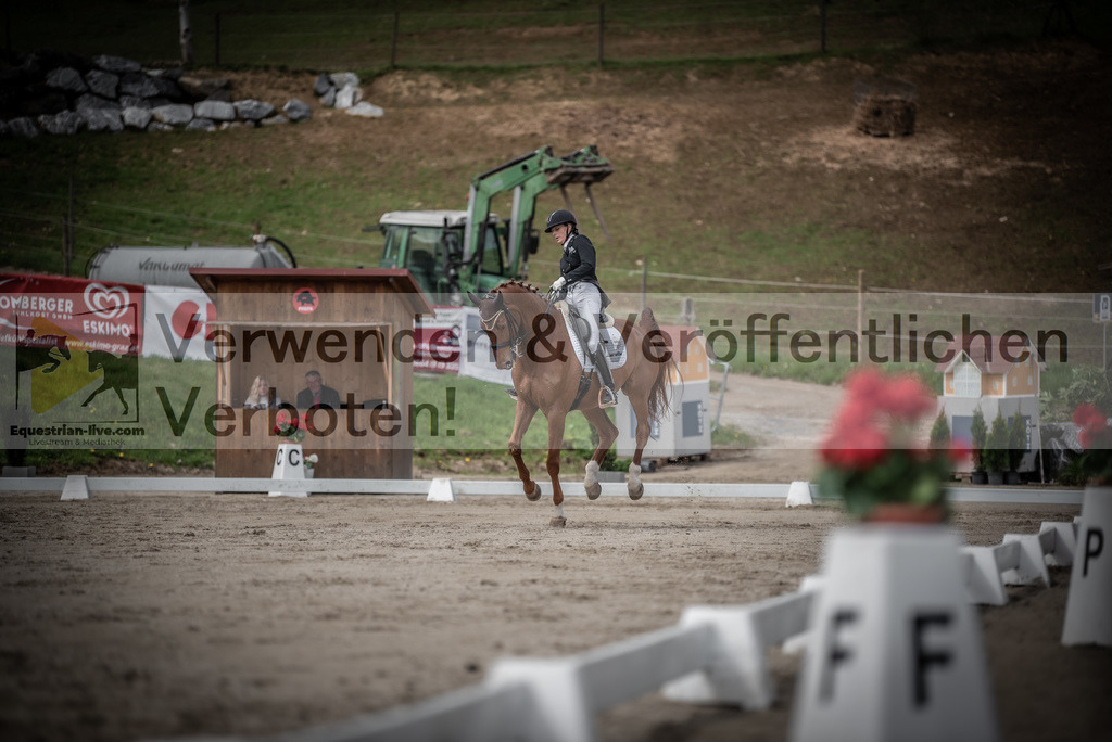 DSC_3127 | equestrian-live-com