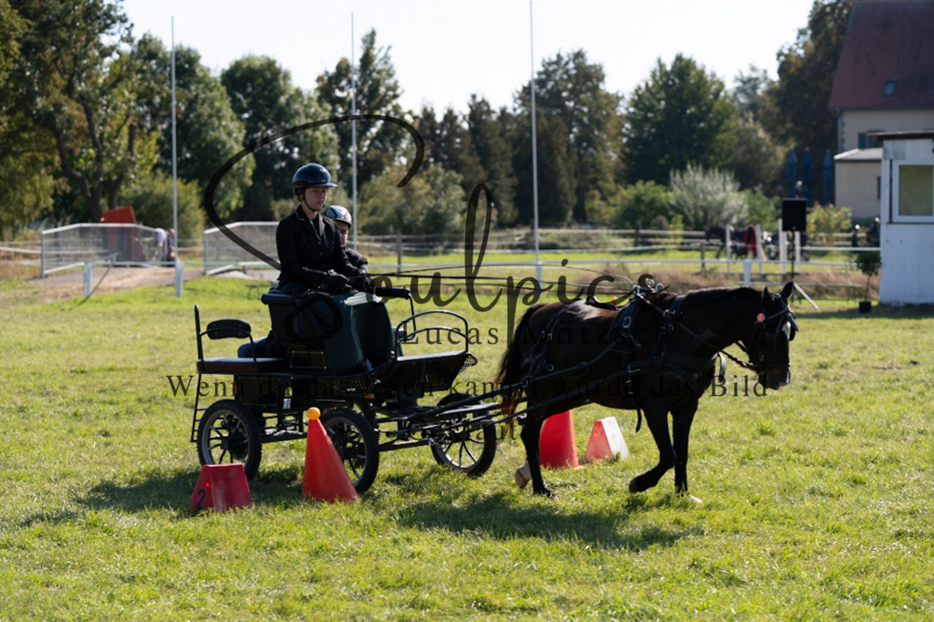 A7V04363 | Pferdefotograf