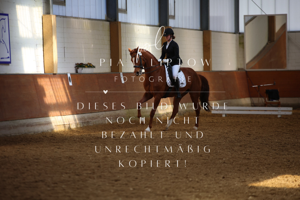 IMGT8523 | pl-fotografie