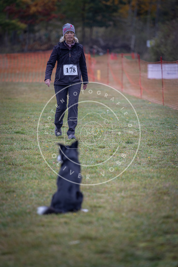 Pfotenfotografie_DV3A9494 | Hundefotografie, Tierfotograf, Pfotenfotografie, Fotoshooting Hund, Hunde Portrait, Hundesport, Hundeportraits, Heideshooting, Hunde, Sportfotograf, Hundefotograf, Turnierhundsport, THS,  - Realisiert mit Pictrs.com