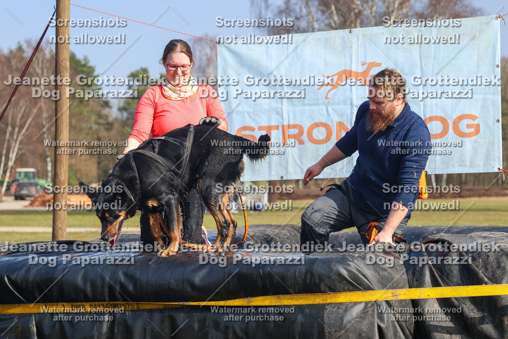 Dog Paparazzi - Strongdog North Mrz26-2971 | Dog Paparazzi Jeanette Grottendiek Fotografie & Videografie - Realisiert mit Pictrs.com