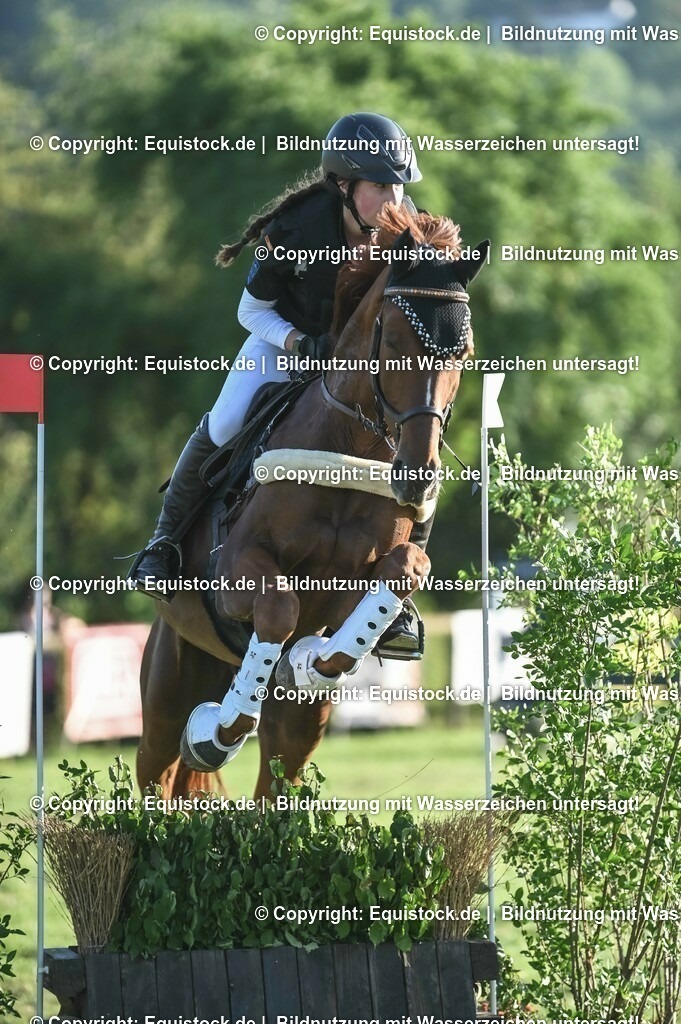 20230909_20_Leonberger-Derby_0071 | Foto: Thomas Hartig