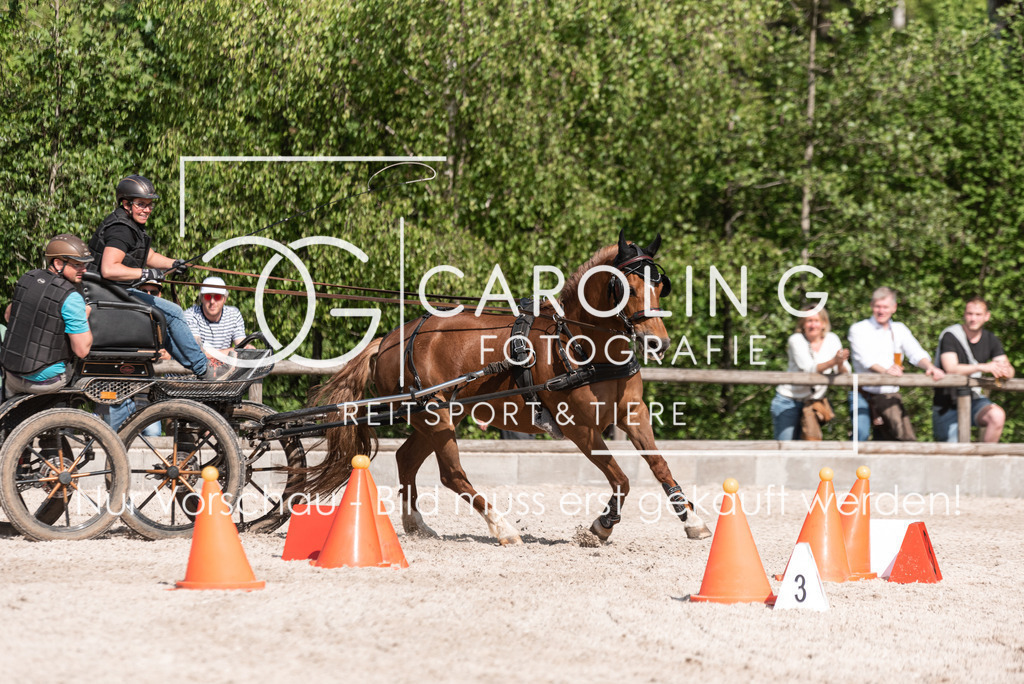 DSC_2066 | Turnierfotografin Carolin Gieschke, Turnierfotografie Carolin G Fotografie, Turnierfotos Kirchheim/Teck, Esslingen, Stuttgart, Bodenseekreis