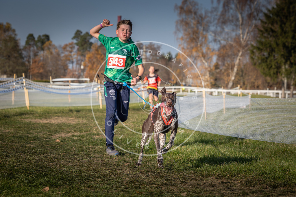 CaniXpix_0L8A8990 | Hundefotografie, Tierfotograf, Pfotenfotografie, Fotoshooting Hund, Hunde Portrait, Hundesport, Hundeportraits, Heideshooting, Hunde, Sportfotograf, Hundefotograf, Turnierhundsport, THS,  - Realisiert mit Pictrs.com