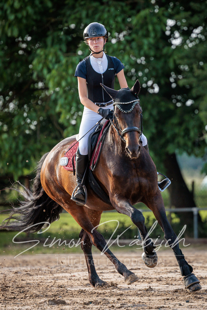 20260529-_3LI1281 | Tierfotografie Pferde, Hunde, Katzen, Haustiere.
Turnierfotografie Reitturniere, Reiten, Springreiten, Dressur in Hanau, dem Main-Kinzig-Kreis und dem Rhein-Main- Gebiet um Frankfurt
