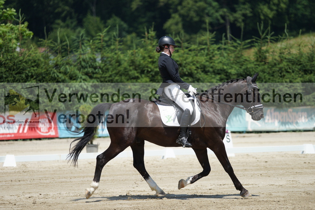 DSC04942 | equestrian-live-com