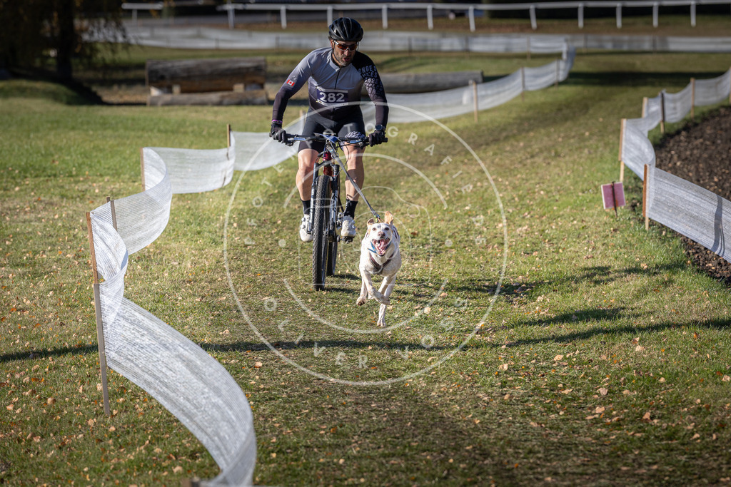 CaniXpix_DV3A5547 | Hundefotografie, Tierfotograf, Pfotenfotografie, Fotoshooting Hund, Hunde Portrait, Hundesport, Hundeportraits, Heideshooting, Hunde, Sportfotograf, Hundefotograf, Turnierhundsport, THS,  - Realisiert mit Pictrs.com