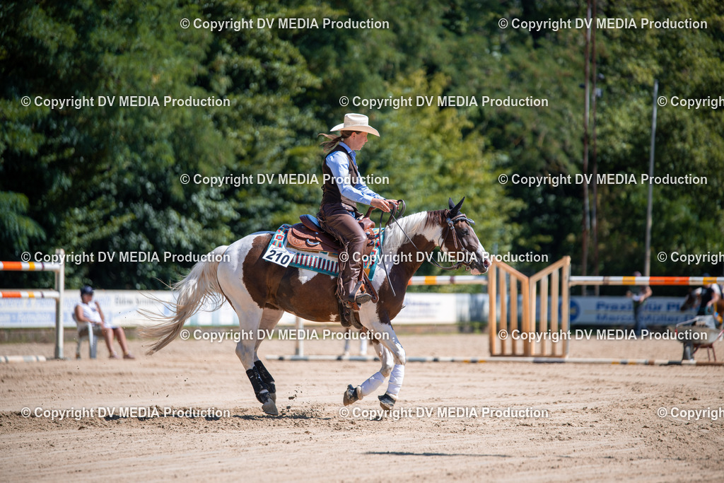 ZS1_1020 | dv-media-shop - Realisiert mit Pictrs.com