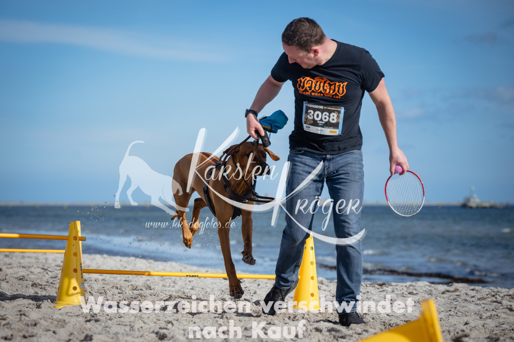 1337_ZZ92278 | kk-dogfotos