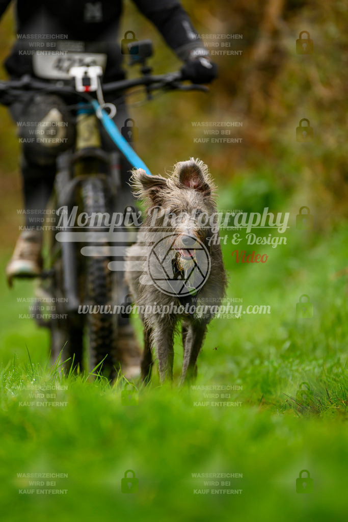 MompixPhotography_20TSB_E8_Bike-157 | PayLife