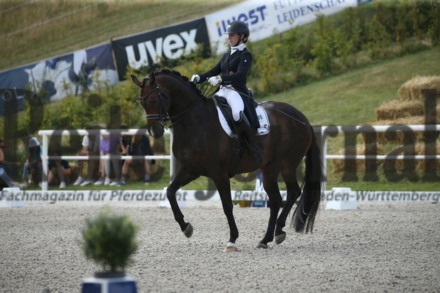 Birkhof_2022_GrandPrixSpecial_Nicole Isser_DiCaprio 4 (17) | Alle Fotos der Reiterjournal Fotografin Doris Matthaes im Reiterjournal Online-Fotoshop. - Realisiert mit Pictrs.com