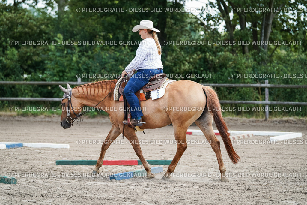 DSC05862 | Pferdegrafie