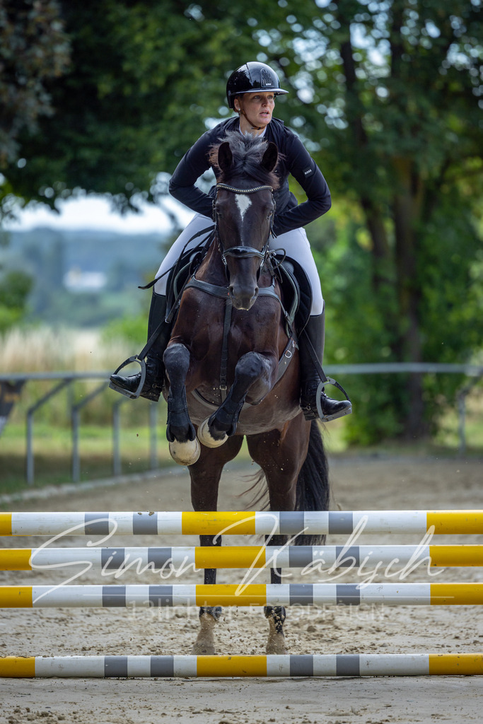 20260704-_3LI6878 | Tierfotografie Pferde, Hunde, Katzen, Haustiere.
Turnierfotografie Reitturniere, Reiten, Springreiten, Dressur in Hanau, dem Main-Kinzig-Kreis und dem Rhein-Main- Gebiet um Frankfurt