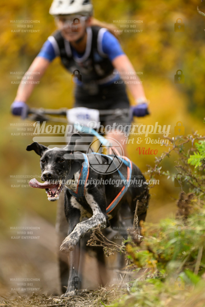 MompixPhotography_ICF_WC_2024_SA_Bike_-94 | PayLife
