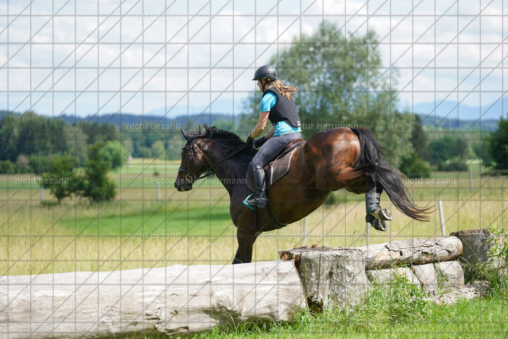 20240622-FAH07727 | Turnierfotografen Bayern, Reitsportbilder aus dem Geländekurs mit Felix Etzel auf dem Gut Waitzacker 2024