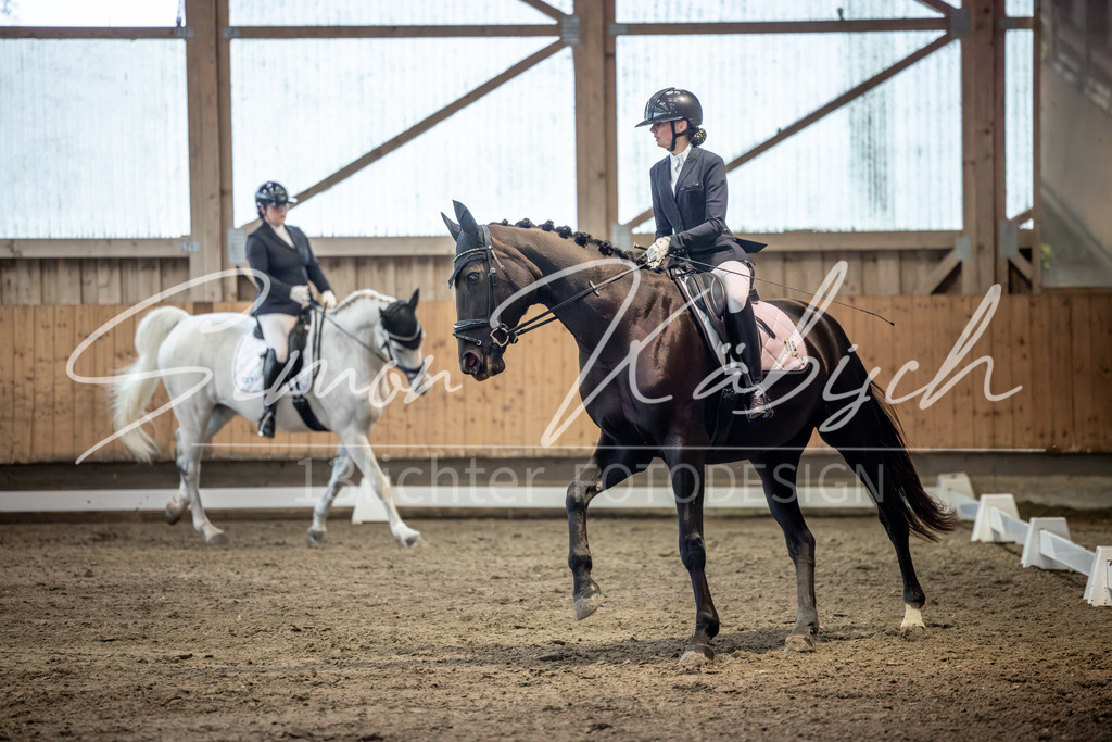 20251011-_3LI6276 | Tierfotografie Pferde, Hunde, Katzen, Haustiere.
Turnierfotografie Reitturniere, Reiten, Springreiten, Dressur in Hanau, dem Main-Kinzig-Kreis und dem Rhein-Main- Gebiet um Frankfurt