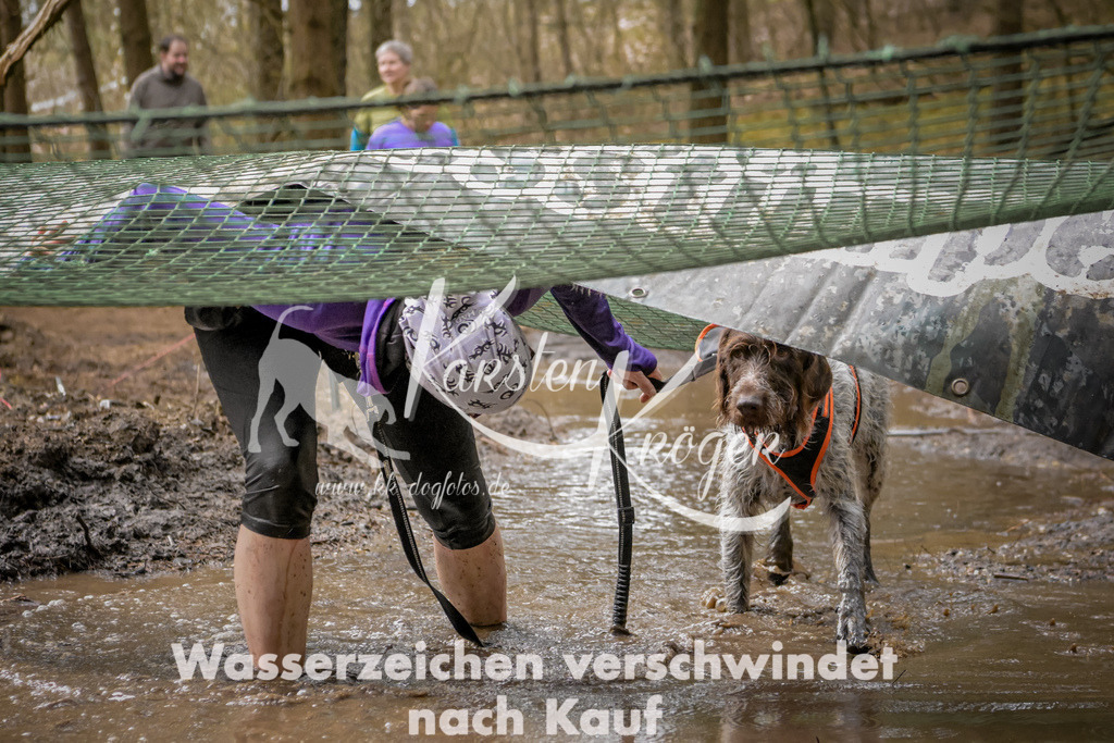 1047_ZZ91911 | kk-dogfotos