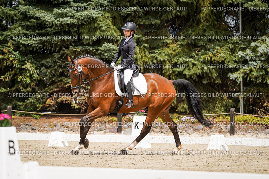 DSC02715 | Pferdegrafie