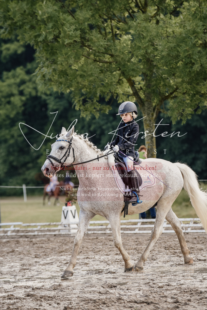 DSC_8329 | Pferde- und Turnierfotografie in Westsachsen. Pferdeportraits, Auftragszeichnungen und intuitive Kunst.