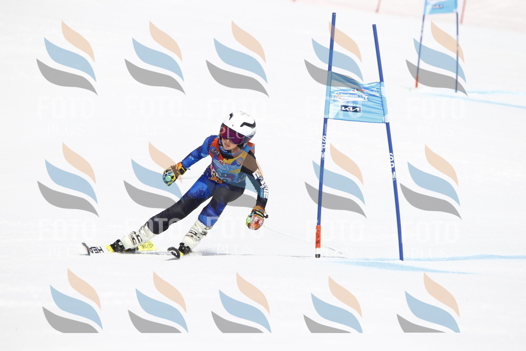 _U3G5391 | holidayphoto