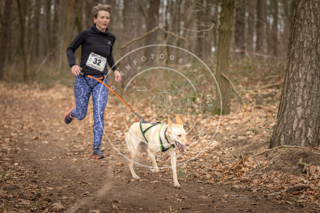 Pfotenfotografie_DV3A9482 | Hundefotografie, Tierfotograf, Pfotenfotografie, Fotoshooting Hund, Hunde Portrait, Hundesport, Hundeportraits, Heideshooting, Hunde, Sportfotograf, Hundefotograf, Turnierhundsport, THS,  - Realisiert mit Pictrs.com