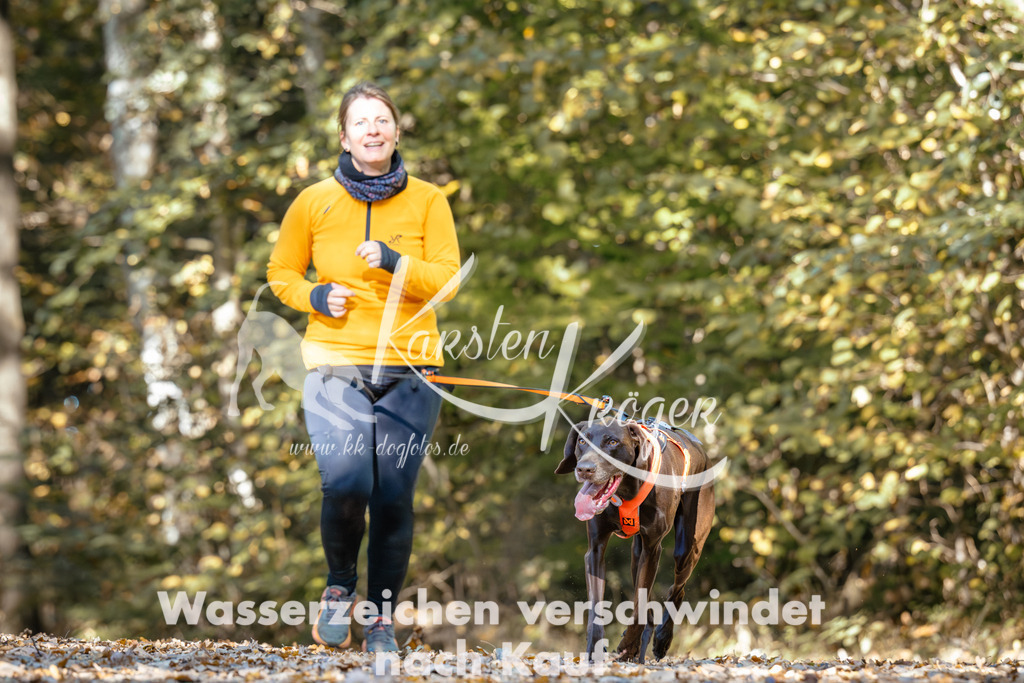 1138_ZZ92932 | kk-dogfotos