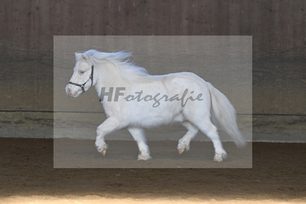 Kat-Nr. 14 Elmhorst Irish Cream v. Elmhorst Irish Coffee_Elmer_49250626 | hf-fotografie - Realisiert mit Pictrs.com