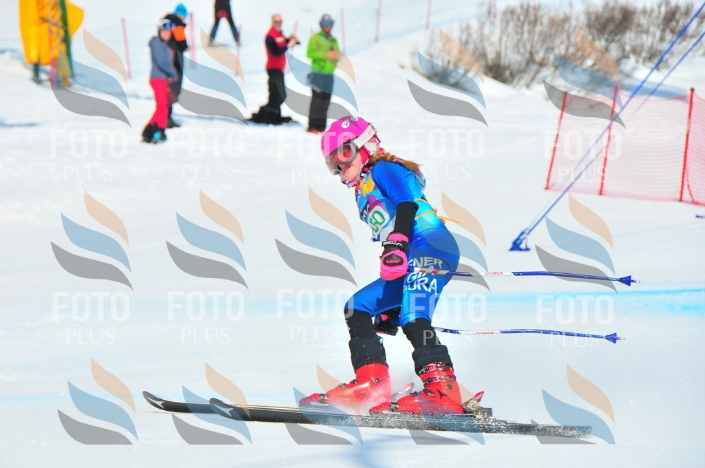 DSC_1307 | holidayphoto