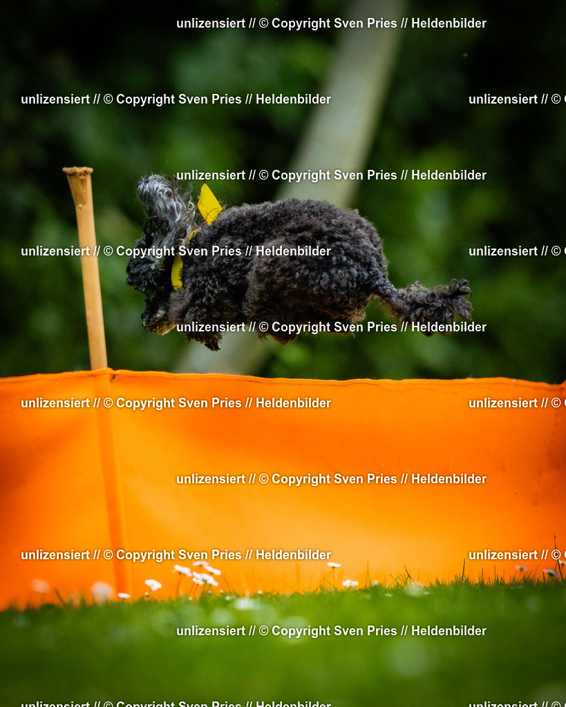 Sven Pries | 2025-05-29 - Pudelrennen KA-Durlach - Realisiert mit Pictrs.com