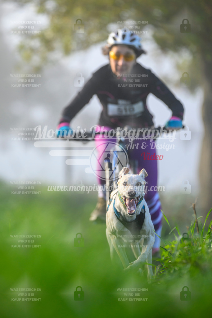 MompixPhotography_20TSB_E3_Bike-121 | PayLife