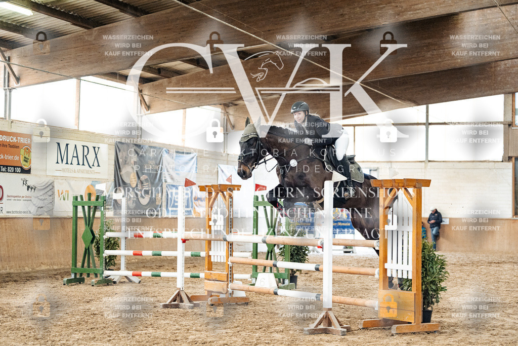 CK906209 | Turnierfotografie Pferdefotografie Trier Rheinland-Pfalz Pferdesport Reitsport Tierfotografie Sportfotografie Pferdevideo Pferdevideografie Equestrianvideography equestrianphotography  - Realized with Pictrs.com