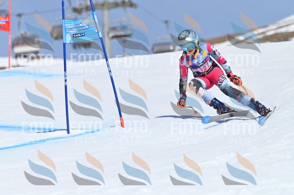 BGV_9934 | holidayphoto