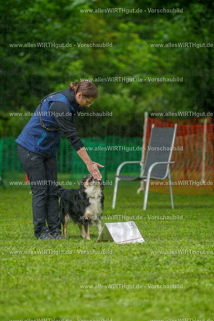 @allesWIRTHgut_Tierfotografie - www.allesWIRTHgut.de - 7R501947 | Professionelle Tierfotografie in Mönchengladbach von Daniel Wirth (allesWIRTHgut). Liebevolle & natürliche Bilder von Hunden & Katzen für unvergessliche Erinnerungen.