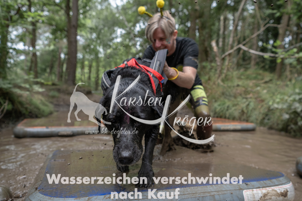 1338_ZZ95066 | kk-dogfotos
