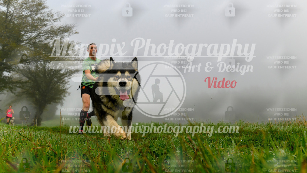 MompixPhotography_20TSB_E5_Run-2 | PayLife