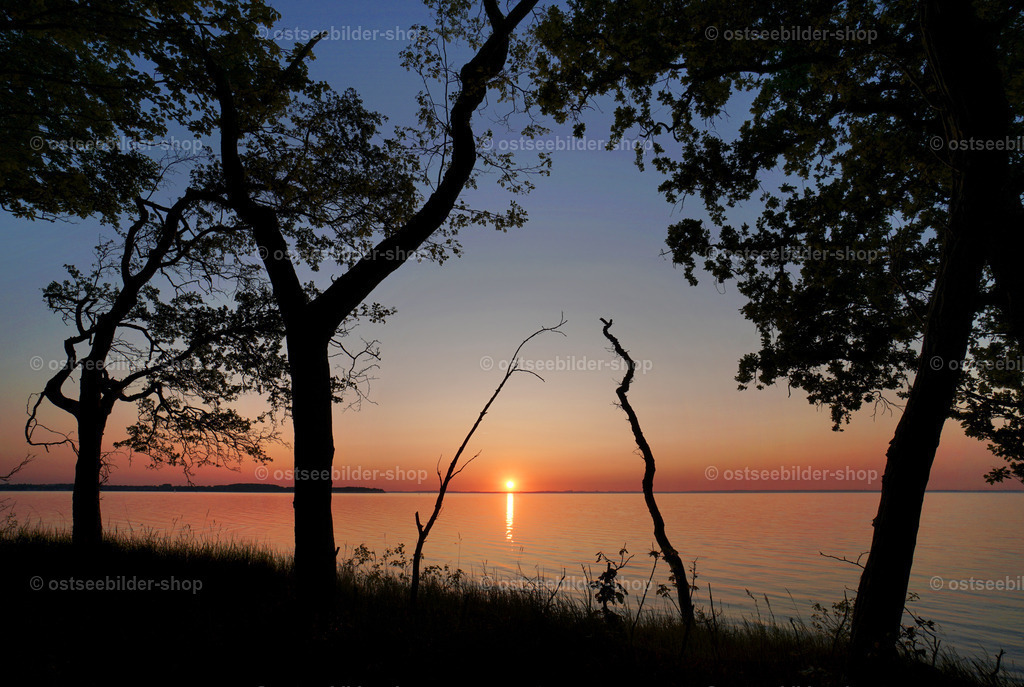 Sonnenuntergang über der Ostsee | Silhouettenhafte Bäume eines Küstenwaldes im Klützer Winkel rahmen den Sonnenuntergang über der Lübecker Bucht.