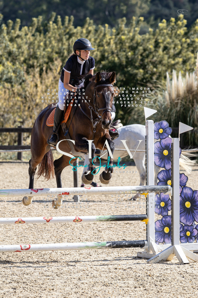 IMG_6293 | s-jay-photography - Realisiert mit Pictrs.com