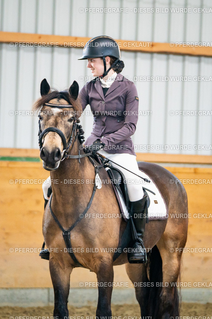 DSC00605 | Pferdegrafie